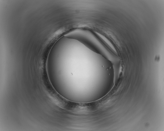 X0000094960260200711291447