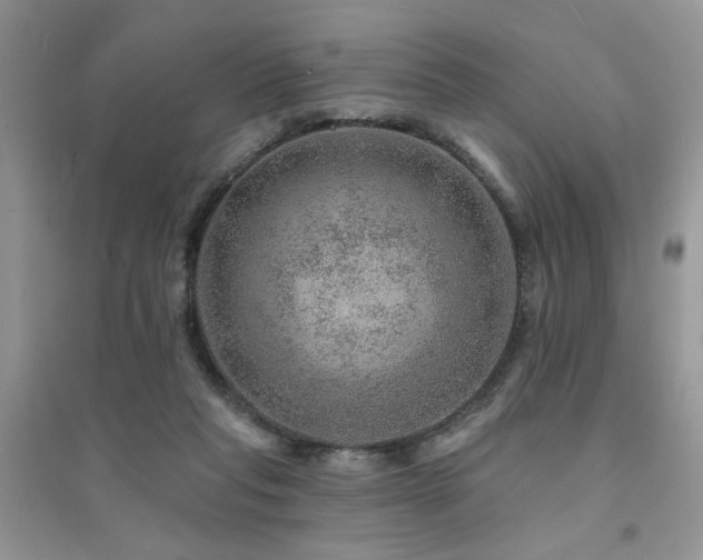 X0000094960261200711291447