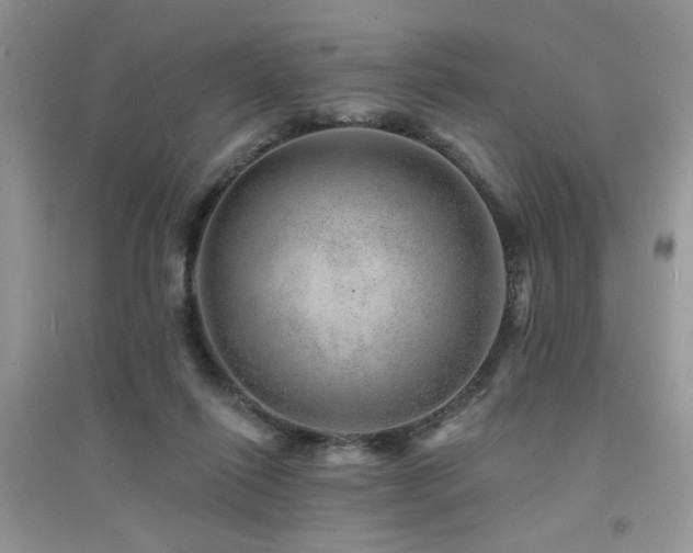 X0000094960262200711291447