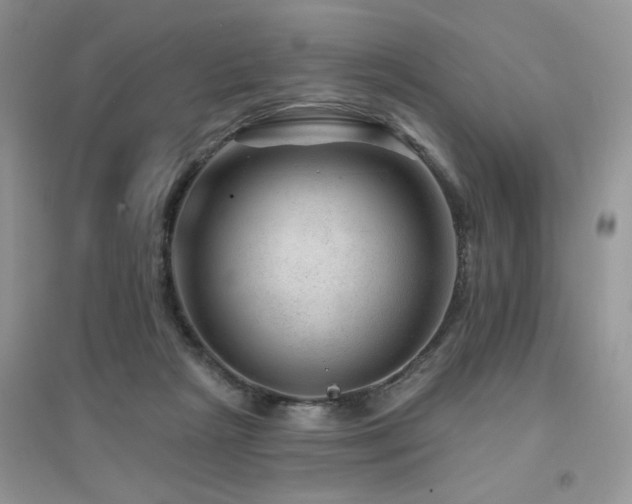 X0000094960265200711291447