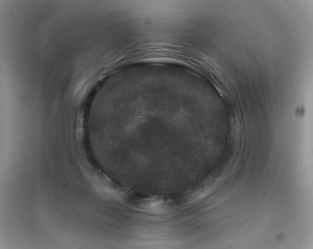 X0000094960267200711291447