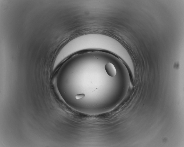 X0000094960268200711291447