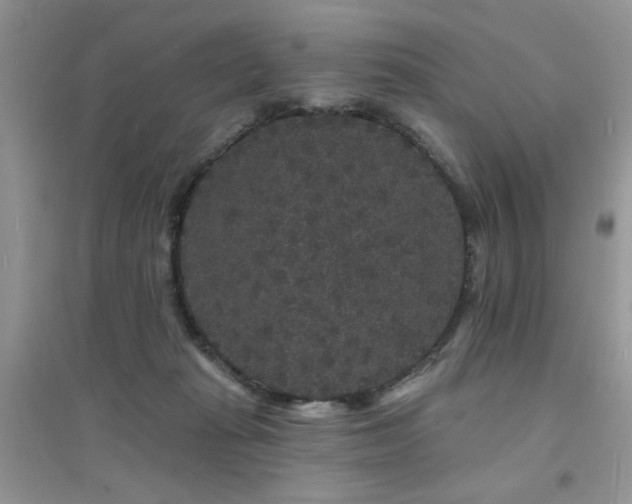 X0000094960269200711291447