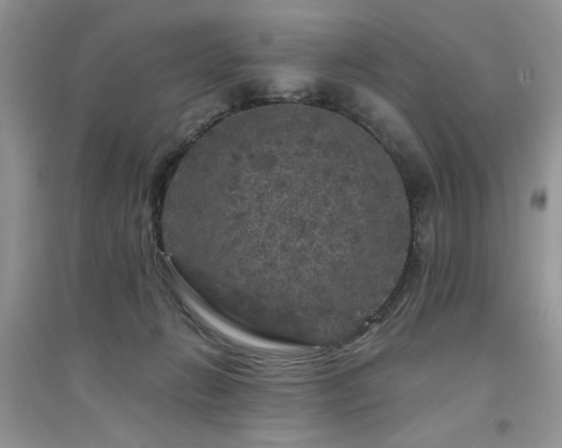 X0000094960270200711291447