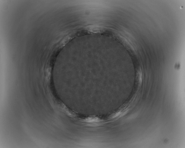 X0000094960271200711291447