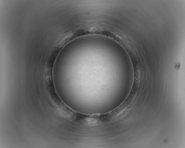 X0000094960272200711291447