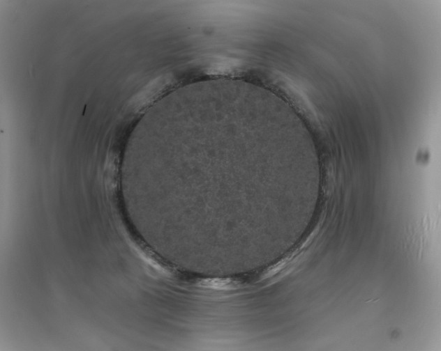 X0000094960273200711291447