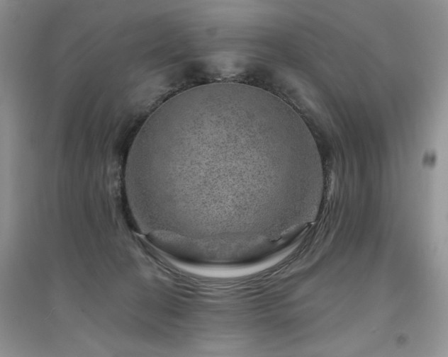 X0000094960274200711291447