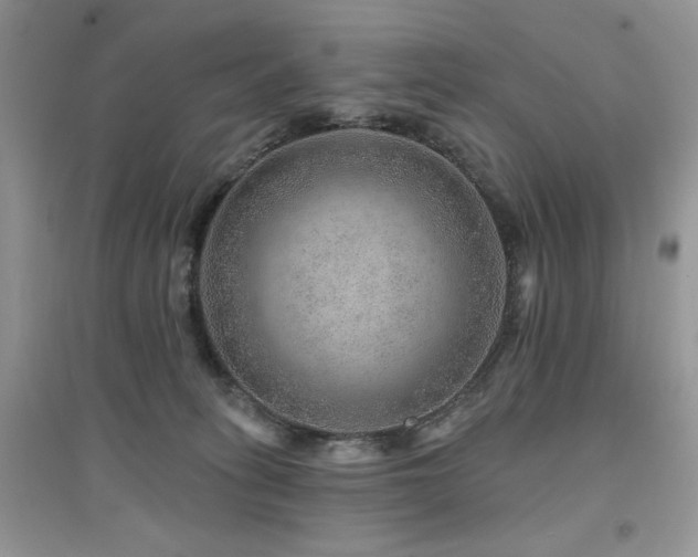 X0000094960275200711291447