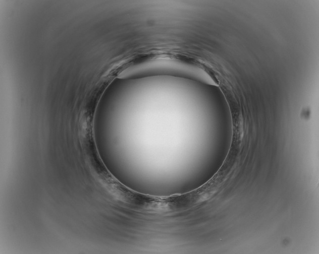 X0000094960276200711291447