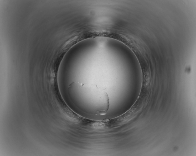 X0000094960279200711291447