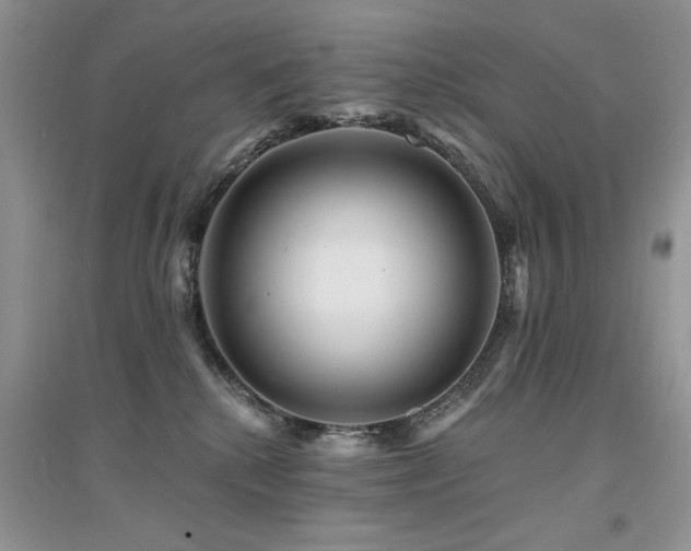 X0000094960280200711291447