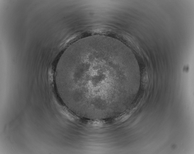 X0000094960282200711291447