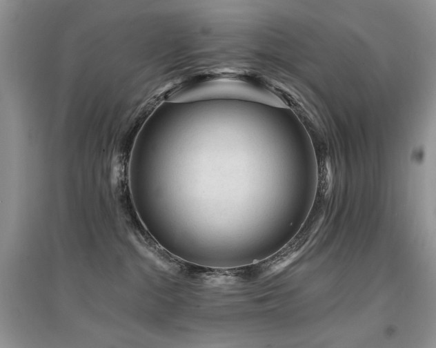 X0000094960284200711291447