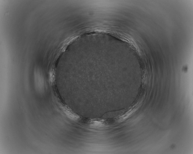 X0000094960285200711291447