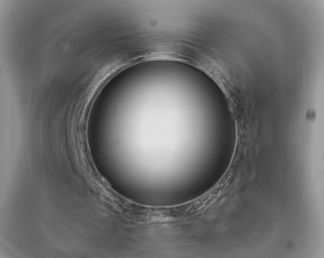 X0000094960289200711291447