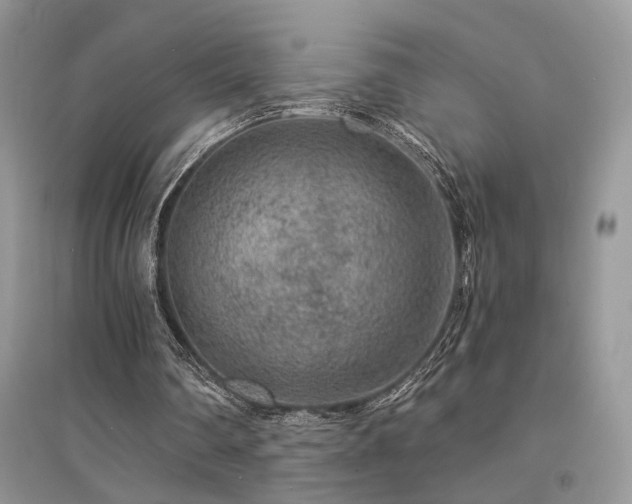 X0000094960290200711291447