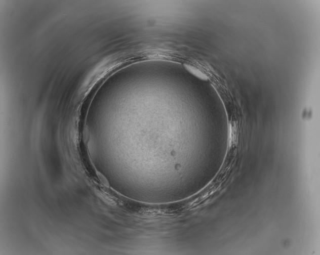 X0000094960291200711291447