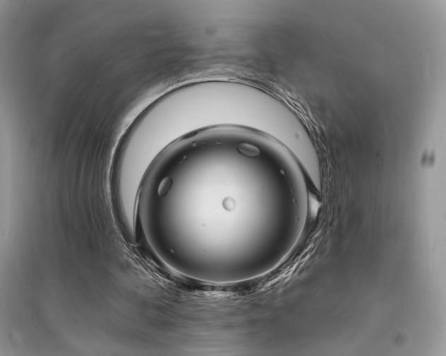 X0000094960292200711291447