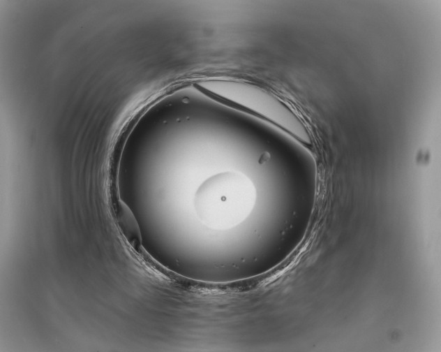 X0000094960293200711291447