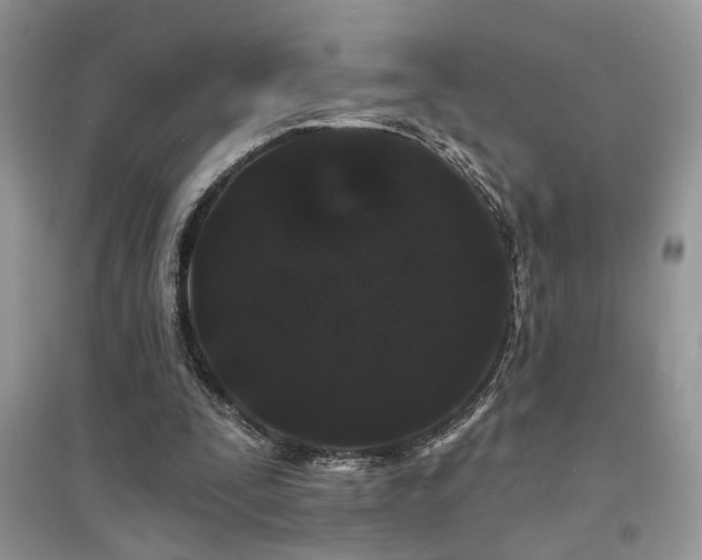 X0000094960295200711291447