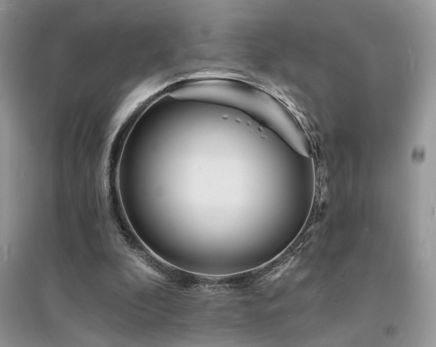 X0000094960296200711291447