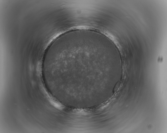 X0000094960297200711291447