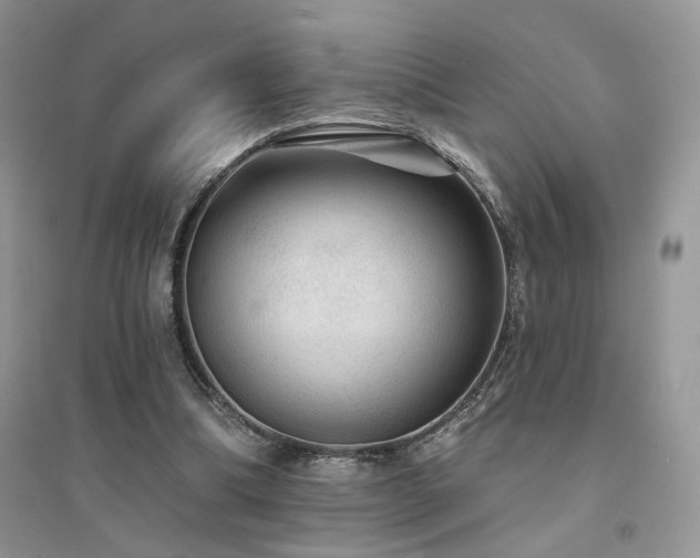 X0000094960298200711291447