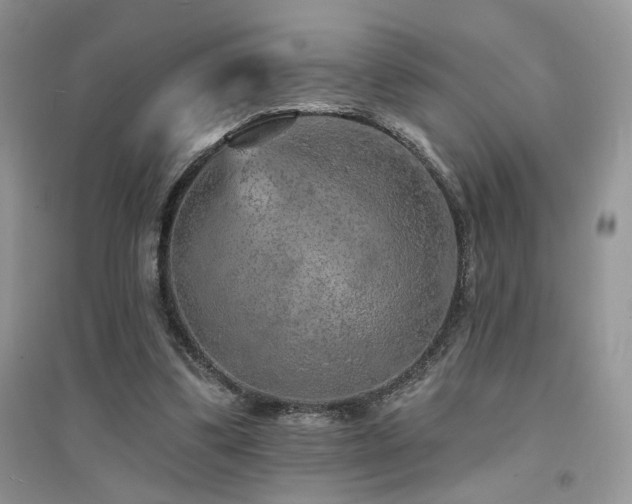 X0000094960299200711291447