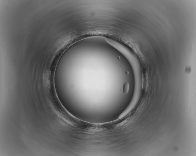 X0000094960300200711291447