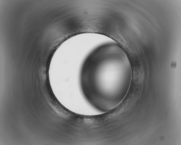 X0000094960302200711291447