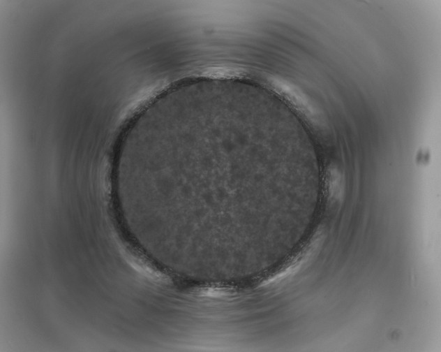 X0000094960303200711291447