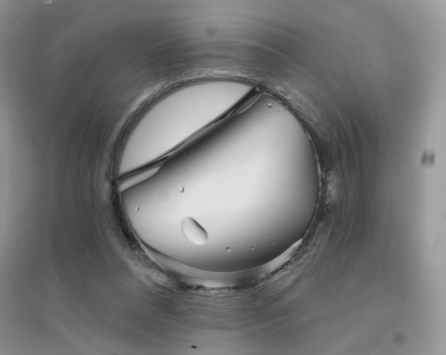 X0000094960304200711291446