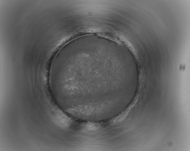 X0000094960305200711291446