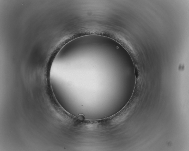 X0000094960306200711291446