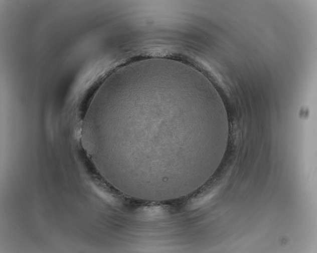 X0000094960307200711291446