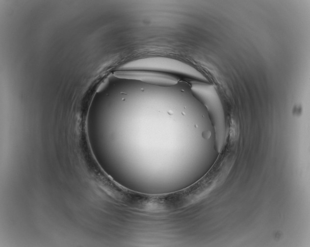 X0000094960308200711291446