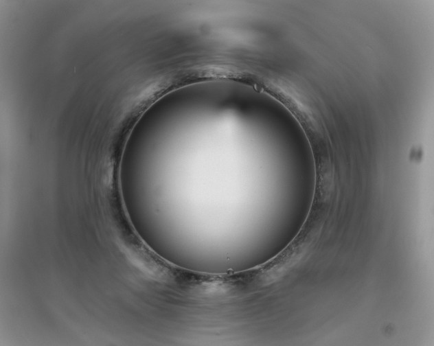 X0000094960310200711291446