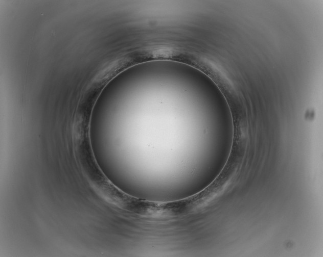 X0000094960311200711291446