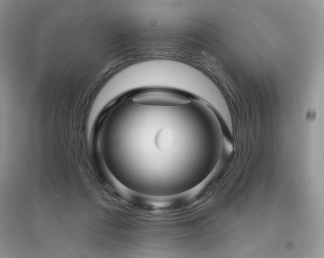 X0000094960312200711291446