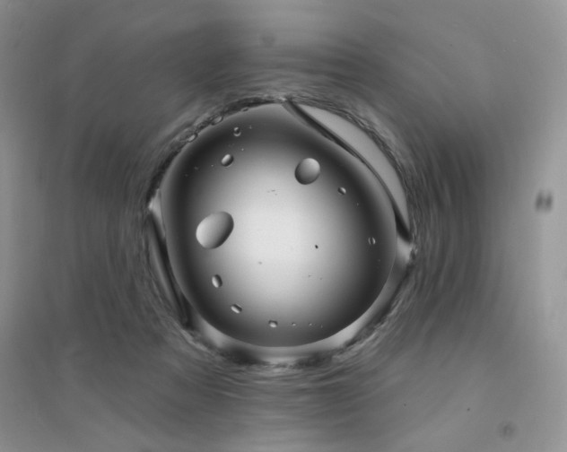 X0000094960313200711291446