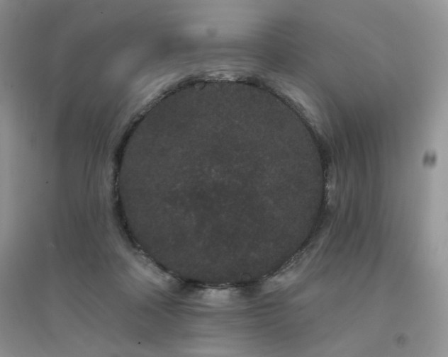 X0000094960314200711291446