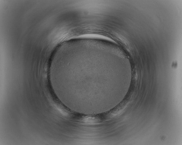 X0000094960315200711291446