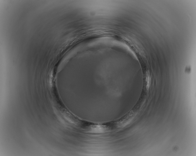 X0000094960316200711291446