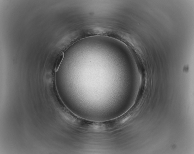 X0000094960317200711291446