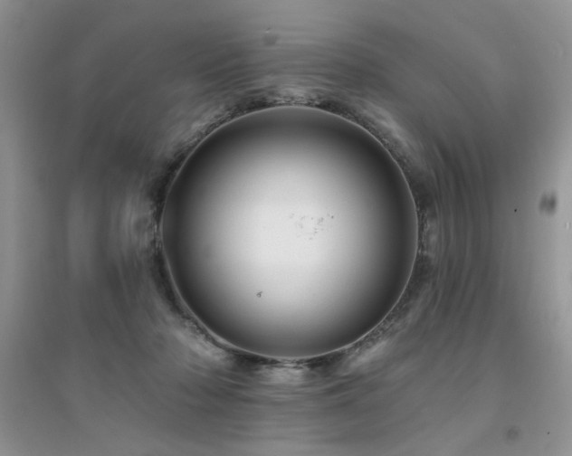 X0000094960318200711291446