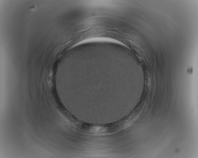 X0000094960319200711291446