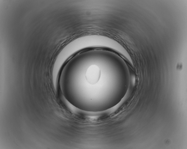 X0000094960320200711291446