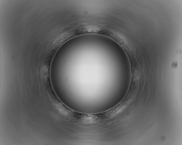 X0000094960321200711291446