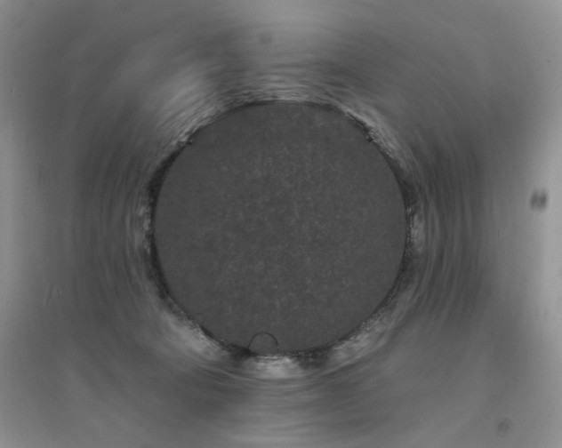 X0000094960322200711291446